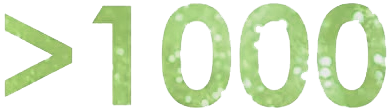 1000 проектов