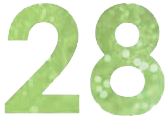 28 лет